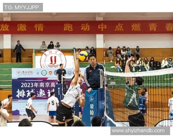 重庆排球队员个人能力分析与团队协作的关系探讨