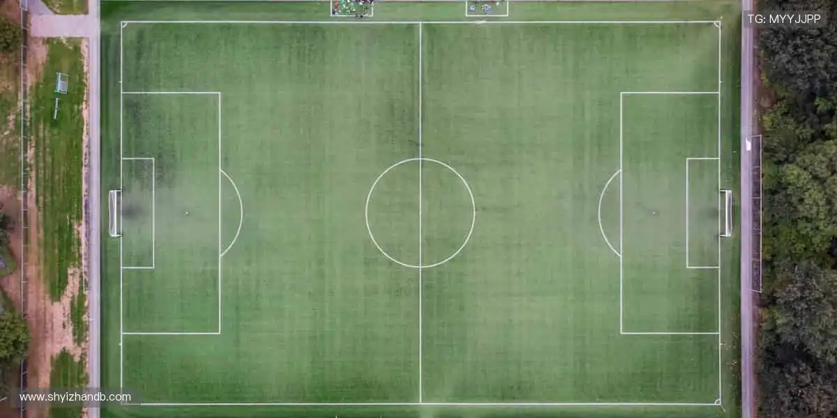 ✨ 突破极限，超越自我！体育精神，由你我共同书写！